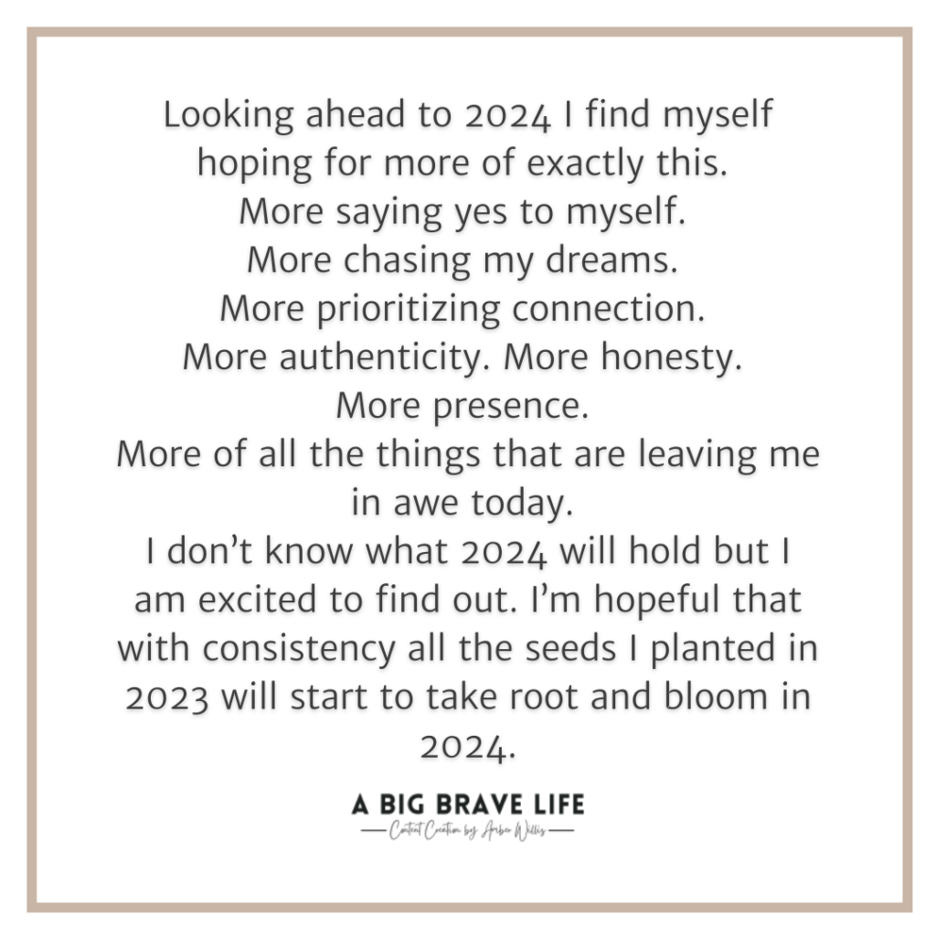 Quote from the blog post about goal setting for 2024